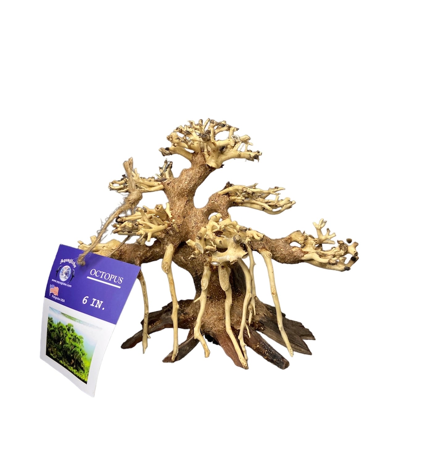 Aquaglobe 6” Octopus bonsai tree