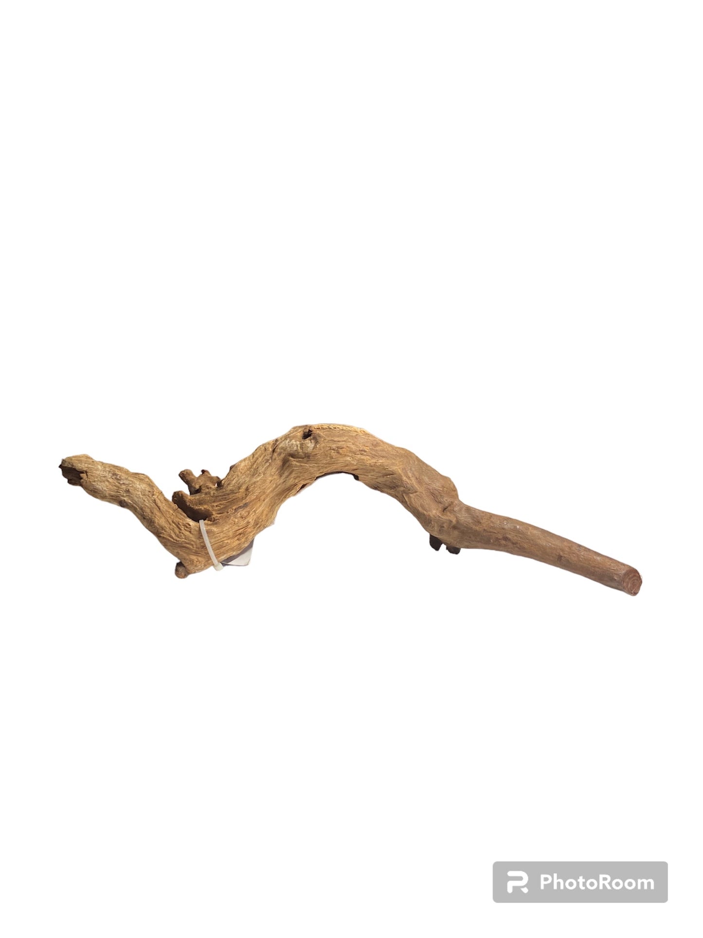 Aquaglobe Medium spider wood 9”-12”