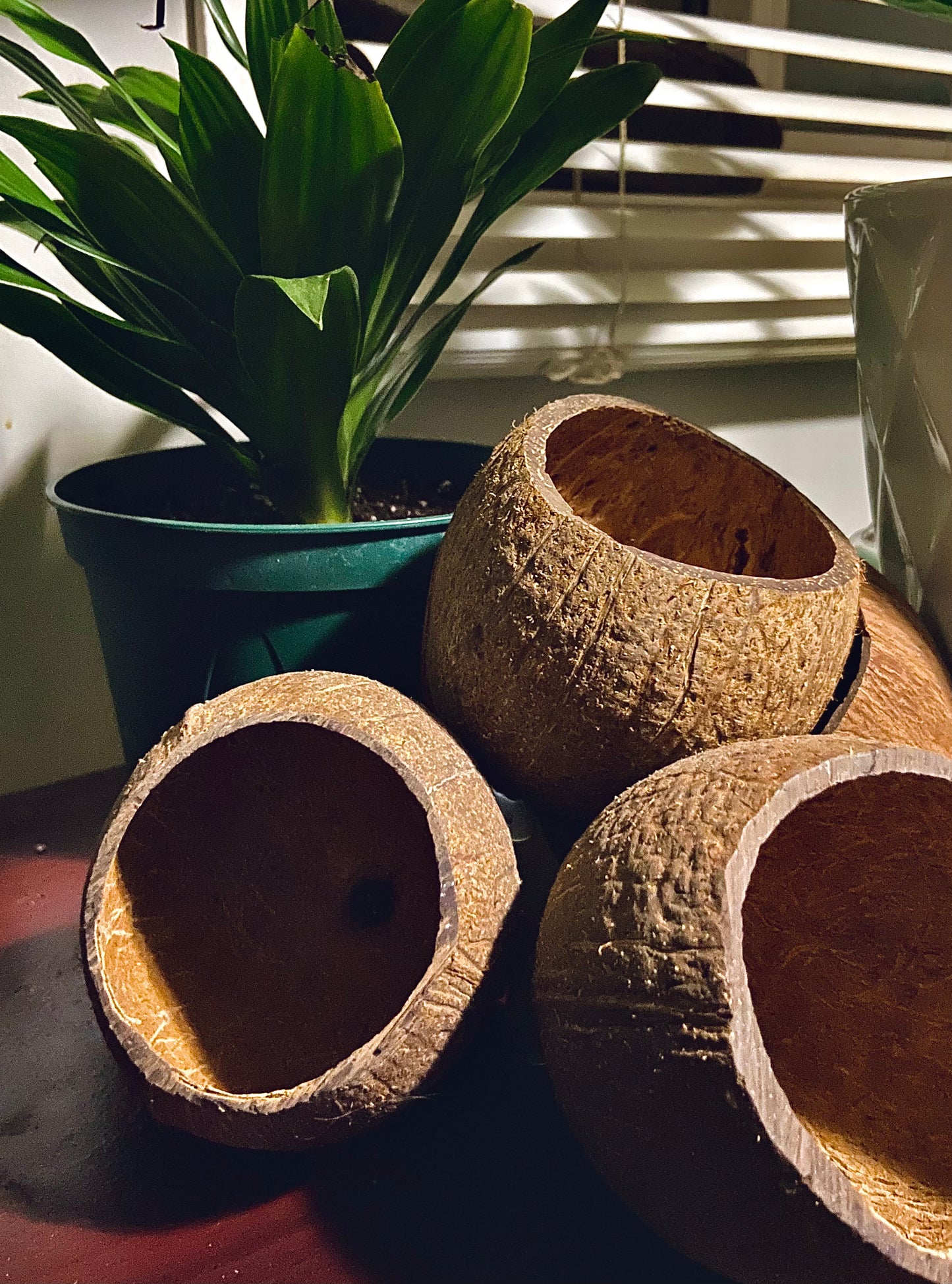 Handcrafted Coconut hides